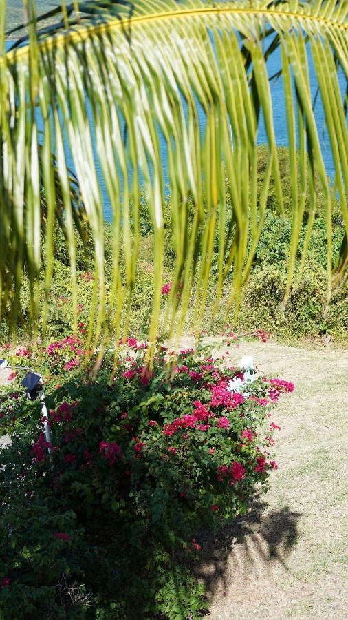 Coqui Beach Home, Culebra Isla Culebra Exterior photo